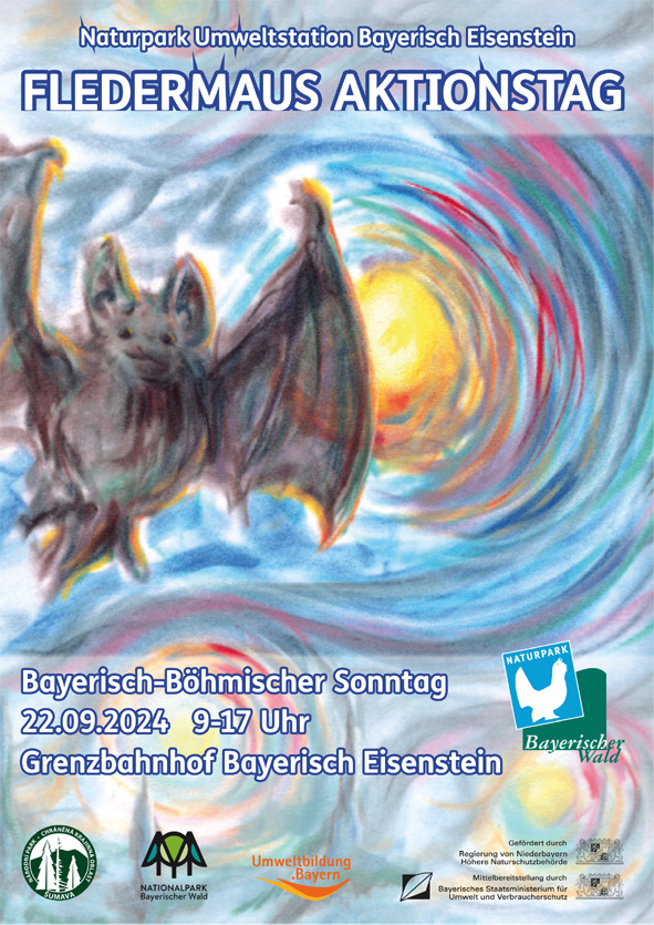 Plakat Fledermaus Aktionstag 02.jpg